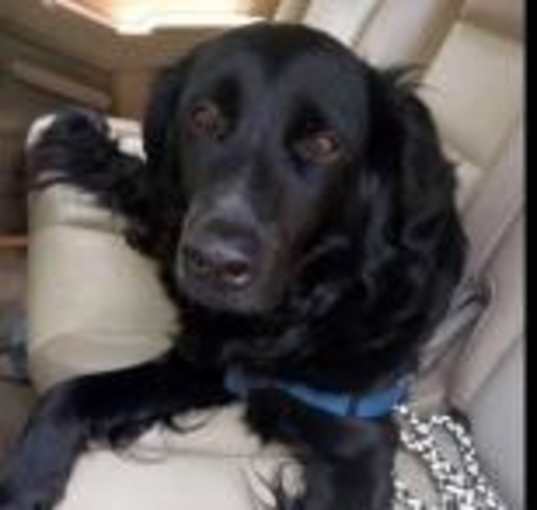 Photo of Marley Man