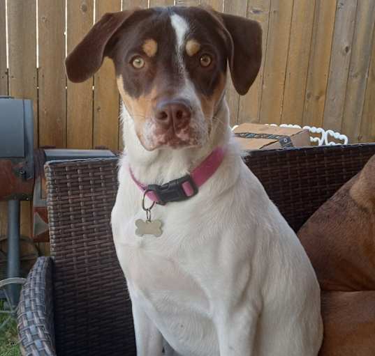 Photo of Maggie Mae