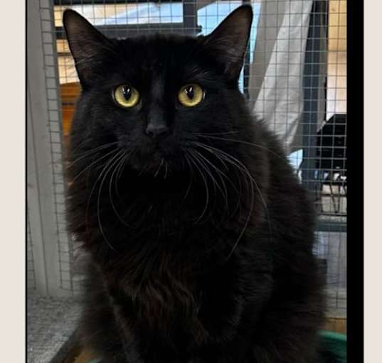 Photo of Bernard