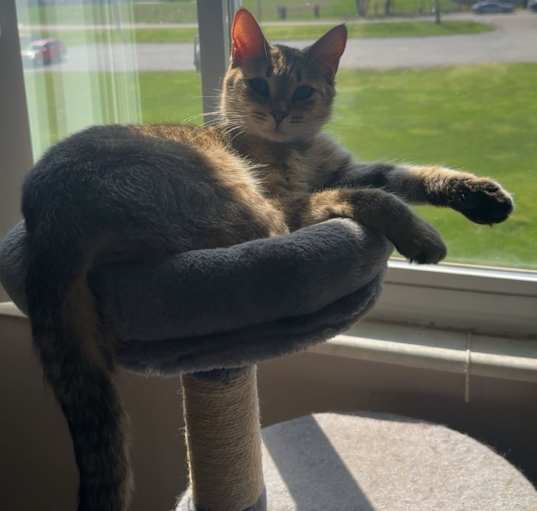 Photo of Nina