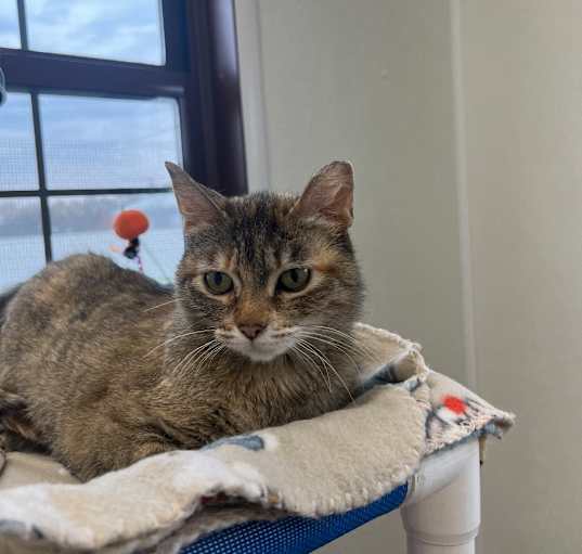 Photo of Alley