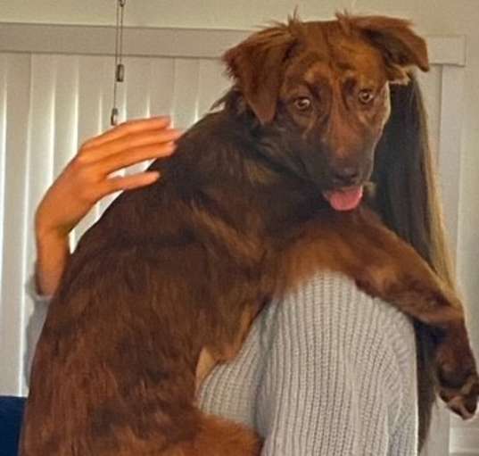 Photo of Cinnamon