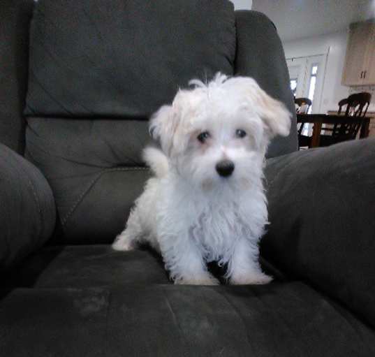 Photo of Sugar