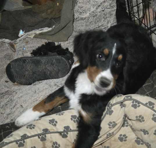 Photo of Heidi