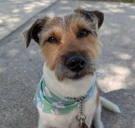 Photo of Milo FKA Angel