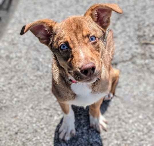 Photo of Ripley