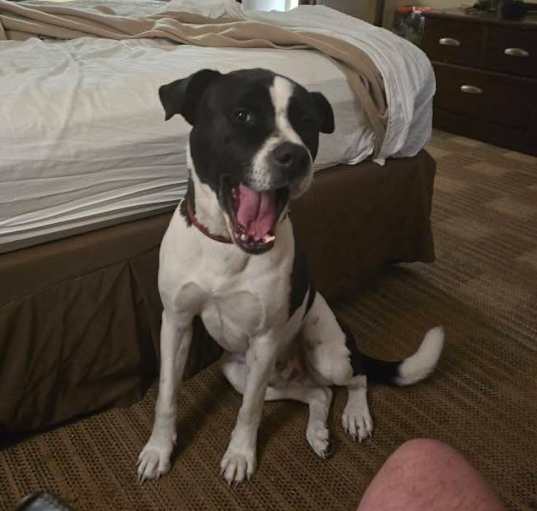 Photo of Ben