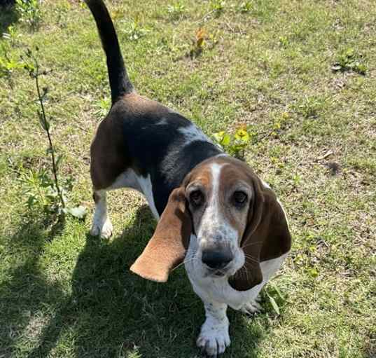 Photo of Bonnie