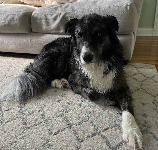 Photo of Wickett