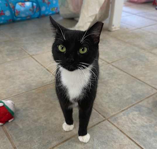 Photo of Delilah