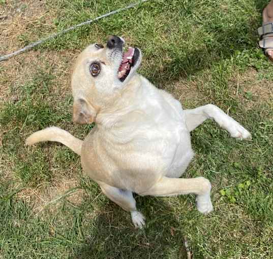 Photo of Ghost