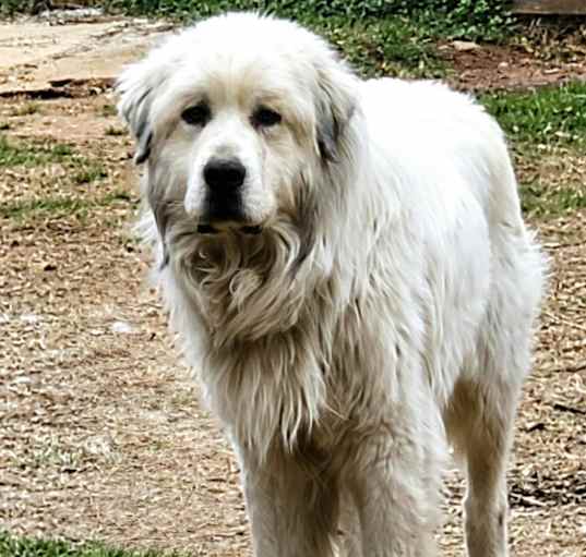 Photo of Zooro