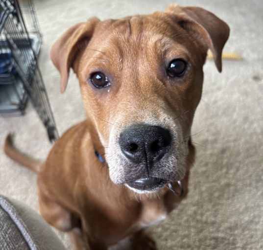 Photo of Maverick~meet me!