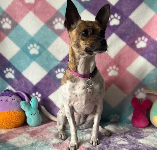 Photo of Kacey
