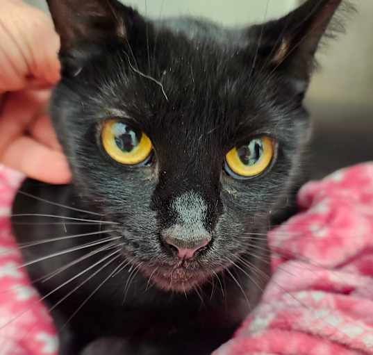 Photo of Wednesday