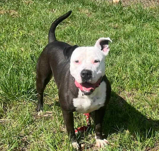 Photo of Candy