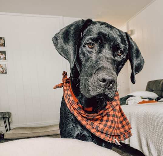 Photo of Zeus