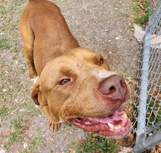 Photo of Rudy