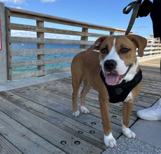 Photo of Kobe