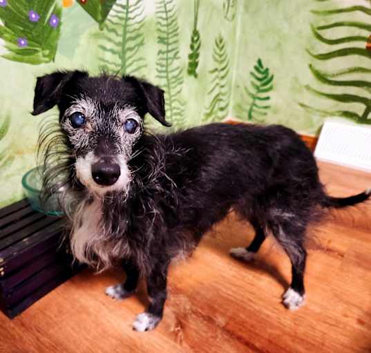 Photo of Agatha Lily