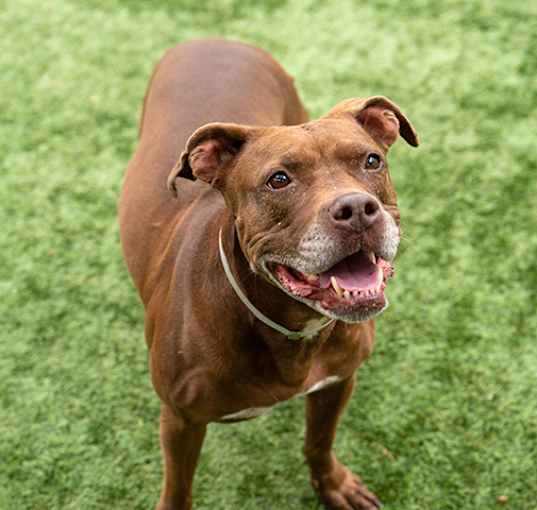Photo of TOOTSIE