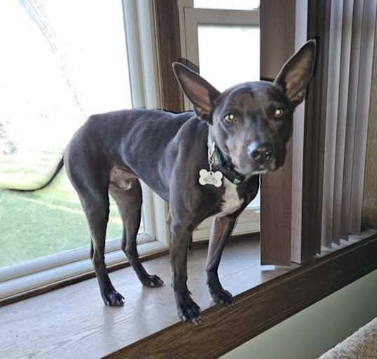 Photo of Clint