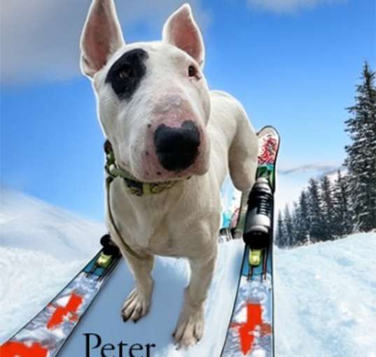 Photo of Peter