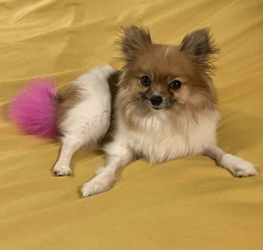 Photo of Cleopatra