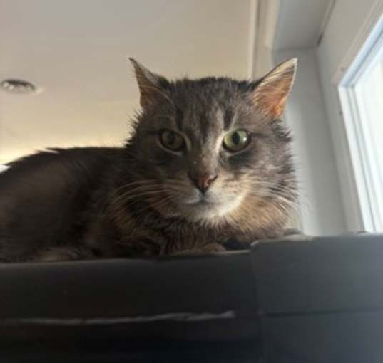 Photo of Bud