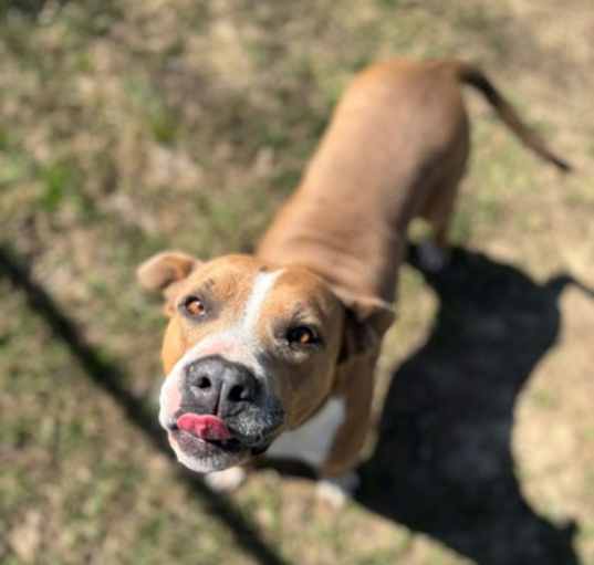 Photo of Laney