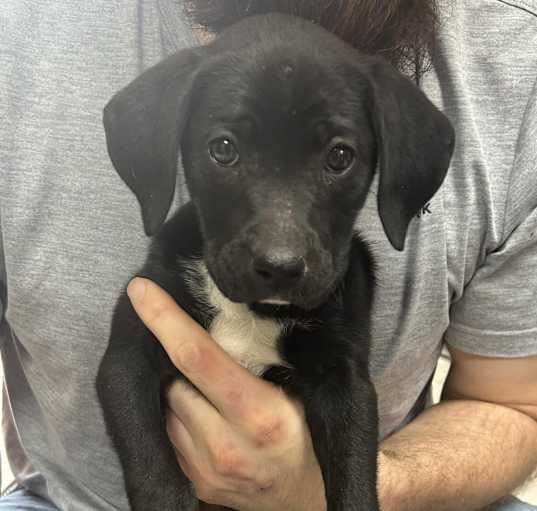 Photo of Elvira