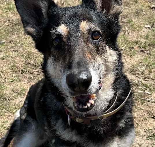 Photo of Ada