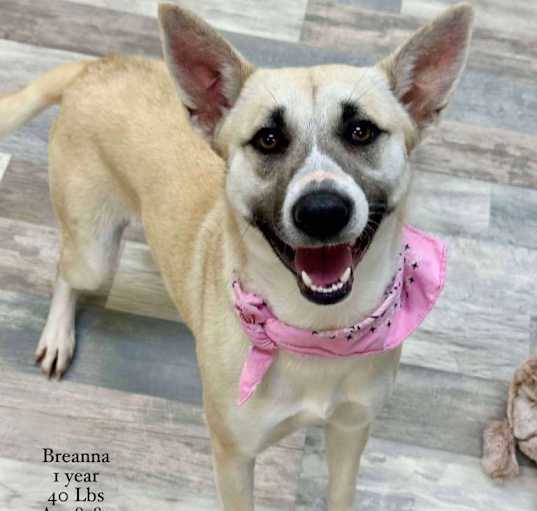Photo of Breanna