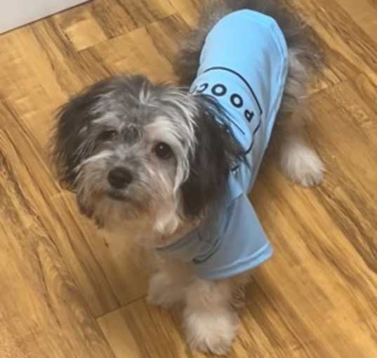 Photo of DJ