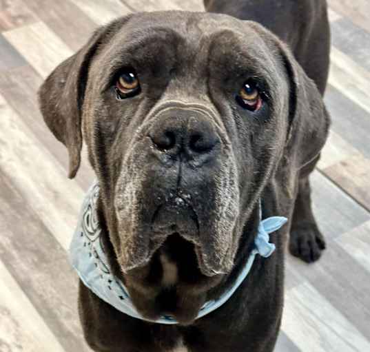Photo of Bucky