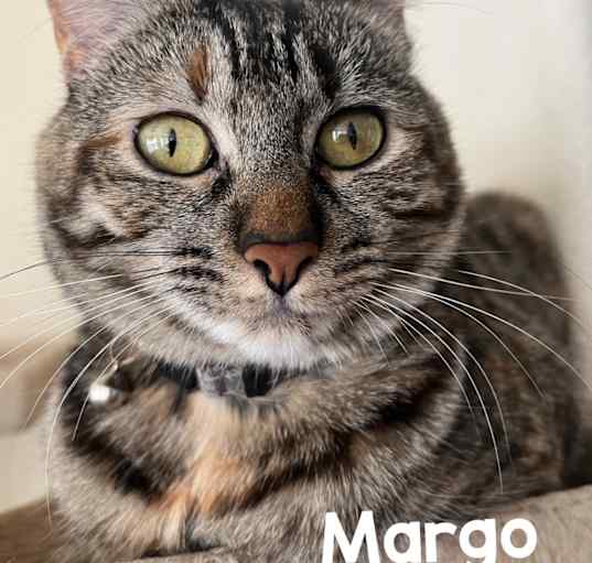 Photo of Margo