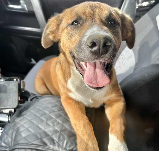 Photo of Maggie