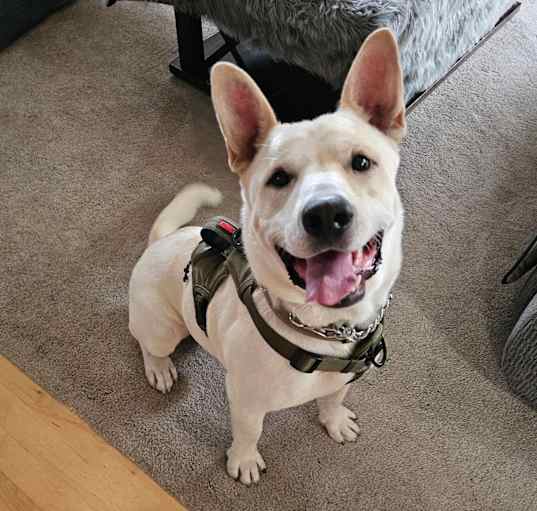 Photo of DUKE