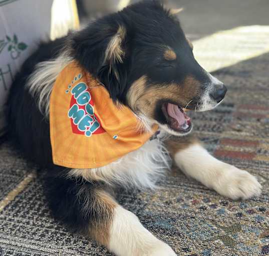 Photo of Sheriff