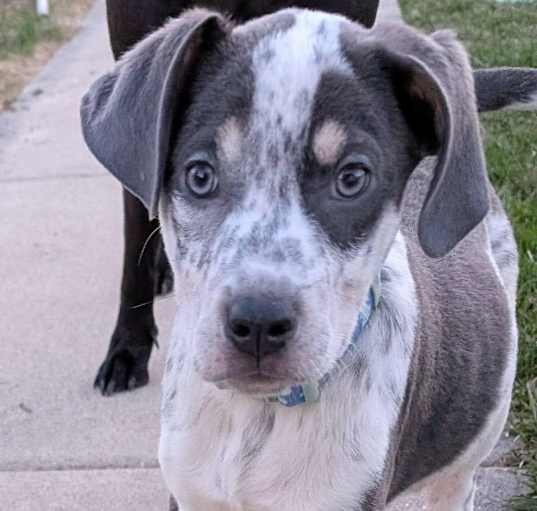 Photo of Jasper