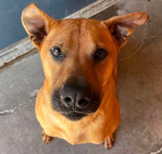 Photo of Sancho