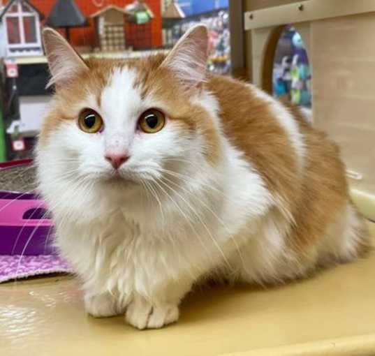 Photo of Rosie
