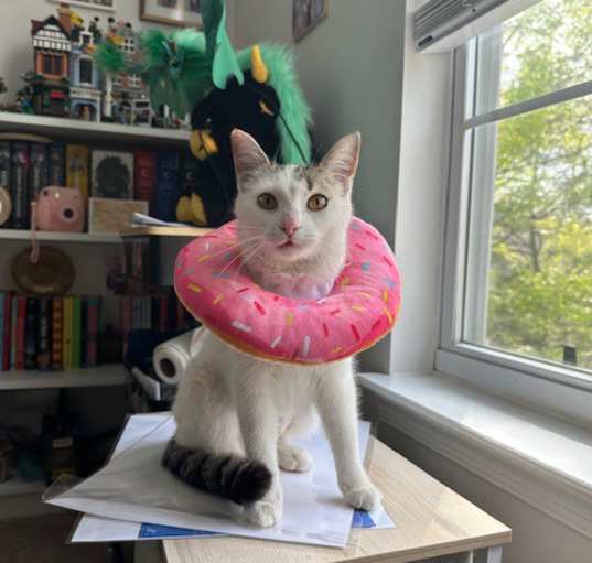 Photo of Opal