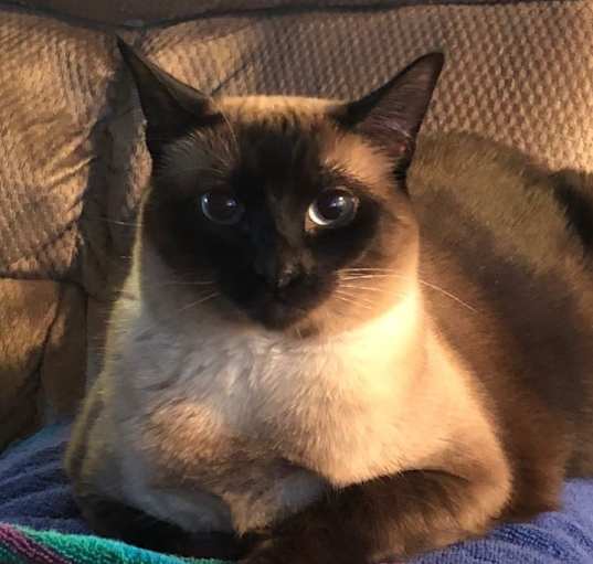 Photo of Margo