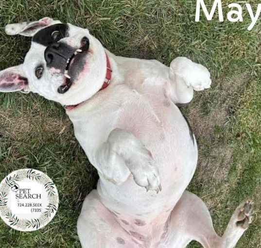 Photo of May
