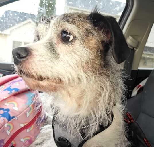Photo of Wally