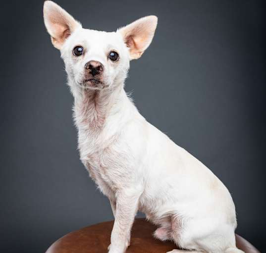 Photo of Silver