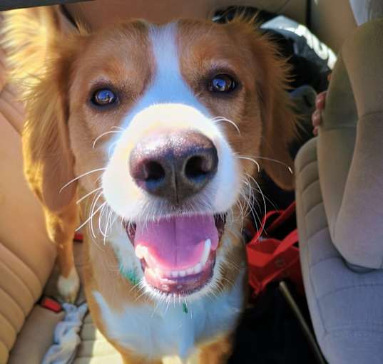 Photo of Bucky
