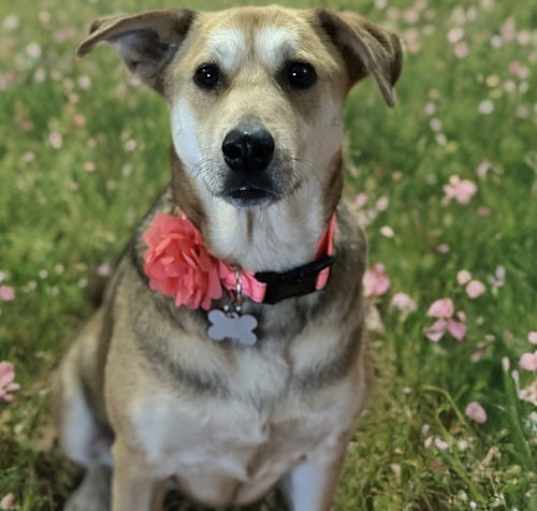 Photo of Charlie