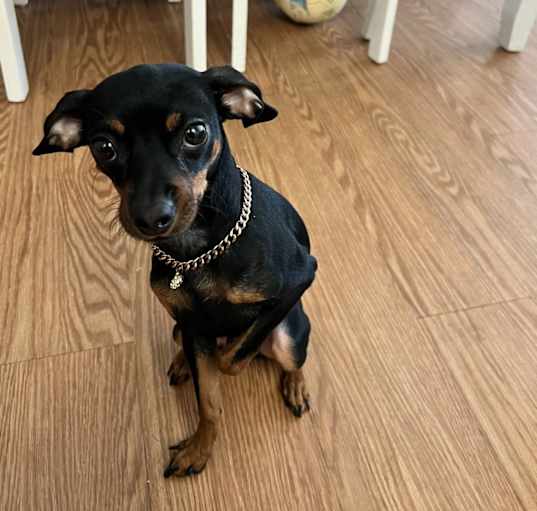 Photo of Emmy
